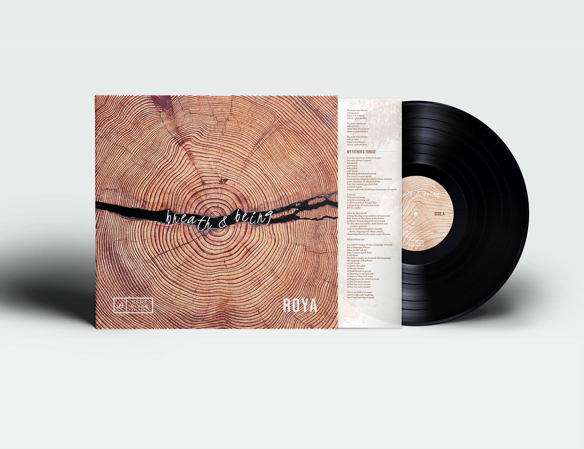 record packing that reads 'breath and being' inside a crack in a tree cookie