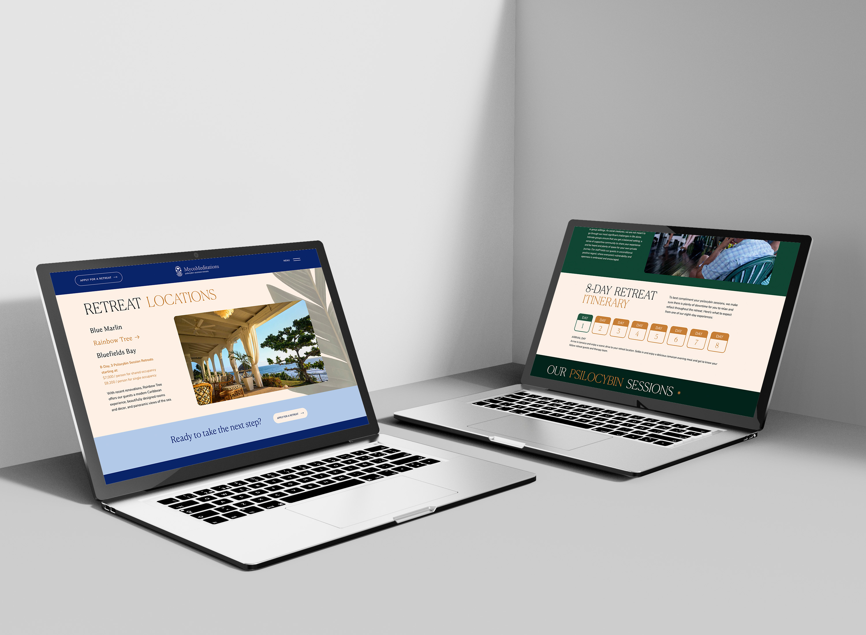 The Mycomeditations website open on two laptops