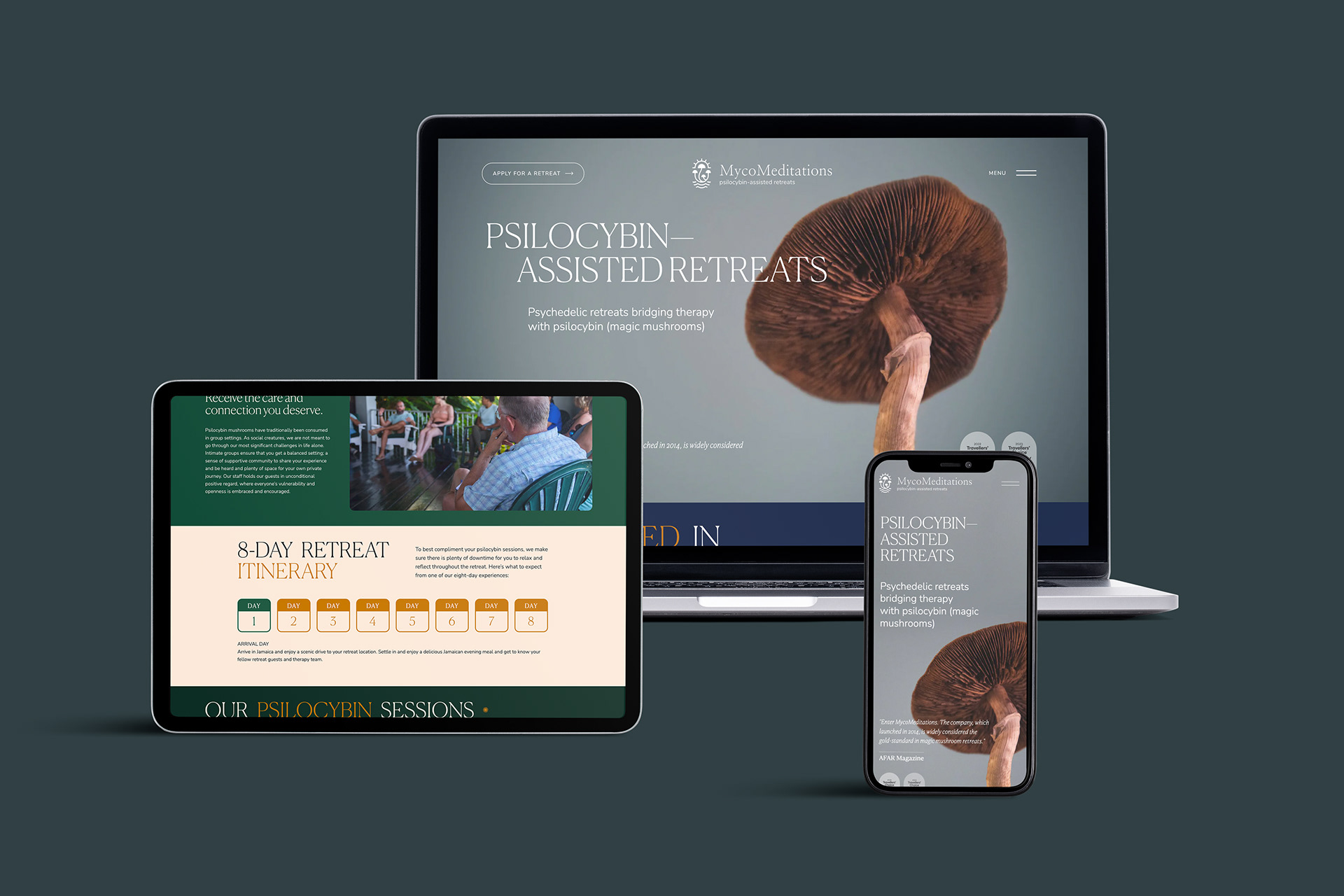 the Mycomeditation website on 3 devices